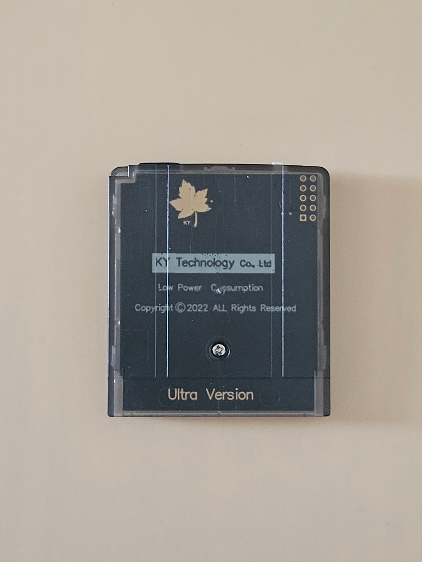 Game Boy Color Flash Cart